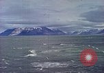 Immagine di Eva Braun Europa, 1940, secondo 48 filmato di repertorio 65675060666