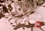 Standbild Eva Braun Europa, 1940, aus Sekunde 5 historischem Filmmaterial Videoclip 65675060669