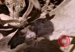 Standbild Eva Braun Europa, 1940, aus Sekunde 6 historischem Filmmaterial Videoclip 65675060669