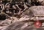 Standbild Eva Braun Europa, 1940, aus Sekunde 7 historischem Filmmaterial Videoclip 65675060669
