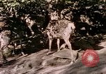 Standbild Eva Braun Europa, 1940, aus Sekunde 9 historischem Filmmaterial Videoclip 65675060669