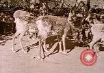 Standbild Eva Braun Europa, 1940, aus Sekunde 14 historischem Filmmaterial Videoclip 65675060669