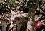 Standbild Eva Braun Europa, 1940, aus Sekunde 17 historischem Filmmaterial Videoclip 65675060669