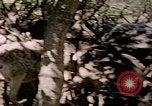 Standbild Eva Braun Europa, 1940, aus Sekunde 18 historischem Filmmaterial Videoclip 65675060669