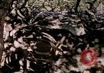 Standbild Eva Braun Europa, 1940, aus Sekunde 19 historischem Filmmaterial Videoclip 65675060669