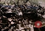 Standbild Eva Braun Europa, 1940, aus Sekunde 20 historischem Filmmaterial Videoclip 65675060669