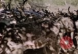 Standbild Eva Braun Europa, 1940, aus Sekunde 21 historischem Filmmaterial Videoclip 65675060669