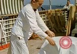 Standbild Eva Braun Europa, 1940, aus Sekunde 45 historischem Filmmaterial Videoclip 65675060673
