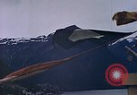 Standbild Eva Braun Europa, 1940, aus Sekunde 39 historischem Filmmaterial Videoclip 65675060676