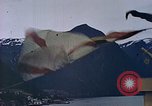 Standbild Eva Braun Europa, 1940, aus Sekunde 41 historischem Filmmaterial Videoclip 65675060676