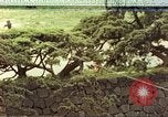 Image of American soldiers Tokyo Japan, 1945, second 1 stock footage video 65675060709