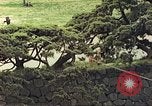 Image of American soldiers Tokyo Japan, 1945, second 3 stock footage video 65675060709