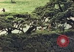Image of American soldiers Tokyo Japan, 1945, second 5 stock footage video 65675060709