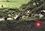 Image of American soldiers Tokyo Japan, 1945, second 8 stock footage video 65675060709