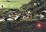Image of American soldiers Tokyo Japan, 1945, second 9 stock footage video 65675060709
