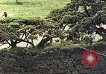 Image of American soldiers Tokyo Japan, 1945, second 18 stock footage video 65675060709