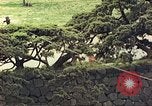 Image of American soldiers Tokyo Japan, 1945, second 19 stock footage video 65675060709