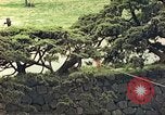 Image of American soldiers Tokyo Japan, 1945, second 20 stock footage video 65675060709