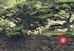 Image of American soldiers Tokyo Japan, 1945, second 22 stock footage video 65675060709