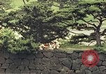 Image of American soldiers Tokyo Japan, 1945, second 24 stock footage video 65675060709