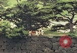 Image of American soldiers Tokyo Japan, 1945, second 26 stock footage video 65675060709