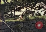 Image of American soldiers Tokyo Japan, 1945, second 45 stock footage video 65675060709