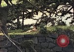 Image of American soldiers Tokyo Japan, 1945, second 46 stock footage video 65675060709