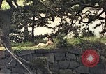 Image of American soldiers Tokyo Japan, 1945, second 49 stock footage video 65675060709
