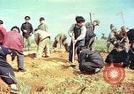 Immagine di I bambini della scuola elementare Giappone, 1946, secondo 6 filmato di repertorio 65675060716