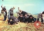 Immagine di I bambini della scuola elementare Giappone, 1946, secondo 8 filmato di repertorio 65675060716