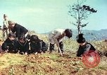 Immagine di I bambini della scuola elementare Giappone, 1946, secondo 10 filmato di repertorio 65675060716