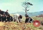 Immagine di I bambini della scuola elementare Giappone, 1946, secondo 11 filmato di repertorio 65675060716