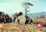 Immagine di I bambini della scuola elementare Giappone, 1946, secondo 12 filmato di repertorio 65675060716