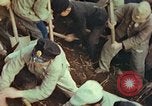Immagine di Scuola Giapponese ragazzi Omura Giappone, 1946, secondo 53 filmato di repertorio 65675060717