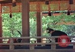 Image of Kiyomizu Temple Kyoto Japan, 1946, second 31 stock footage video 65675060719