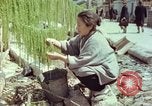 Image of Japanese people Hiroshima Japan, 1946, second 31 stock footage video 65675060726