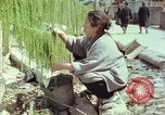 Image of Japanese people Hiroshima Japan, 1946, second 32 stock footage video 65675060726