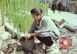 Image of Japanese people Hiroshima Japan, 1946, second 35 stock footage video 65675060726