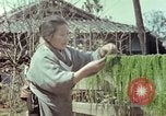 Image of Japanese people Hiroshima Japan, 1946, second 39 stock footage video 65675060726