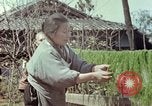 Image of Japanese people Hiroshima Japan, 1946, second 41 stock footage video 65675060726