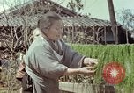Image of Japanese people Hiroshima Japan, 1946, second 42 stock footage video 65675060726