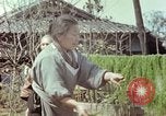 Image of Japanese people Hiroshima Japan, 1946, second 43 stock footage video 65675060726