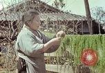 Image of Japanese people Hiroshima Japan, 1946, second 44 stock footage video 65675060726