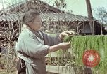 Image of Japanese people Hiroshima Japan, 1946, second 45 stock footage video 65675060726