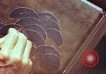 Image of Japanese artist Kyoto Japan, 1946, second 43 stock footage video 65675060727