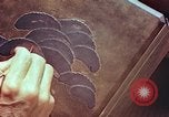 Image of Japanese artist Kyoto Japan, 1946, second 46 stock footage video 65675060727