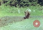 Standbild Japanische Bauer Kyoto Japan, 1946, aus Sekunde 4 historischem Filmmaterial Videoclip 65675060728