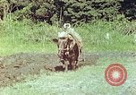 Standbild Japanische Bauer Kyoto Japan, 1946, aus Sekunde 14 historischem Filmmaterial Videoclip 65675060728