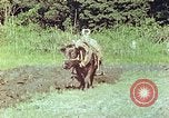 Standbild Japanische Bauer Kyoto Japan, 1946, aus Sekunde 15 historischem Filmmaterial Videoclip 65675060728