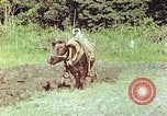 Standbild Japanische Bauer Kyoto Japan, 1946, aus Sekunde 16 historischem Filmmaterial Videoclip 65675060728